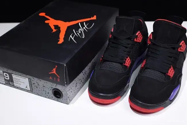 Cheap NRG Raptors